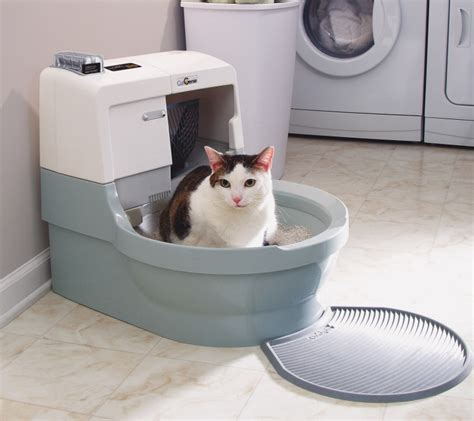 cat litter electrical boxes|least scary automatic litter box.